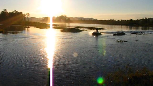 Пантера отжигает