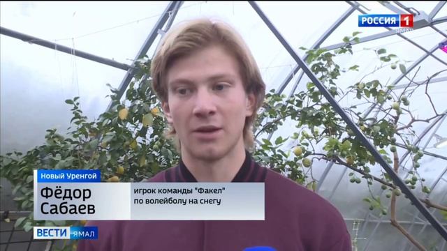 Лимонарий Новый Уренгой