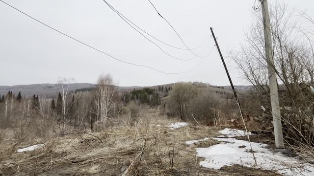 посёлок Чистая Грива