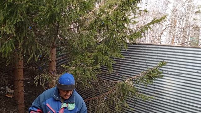 уборка дикого зоопарка