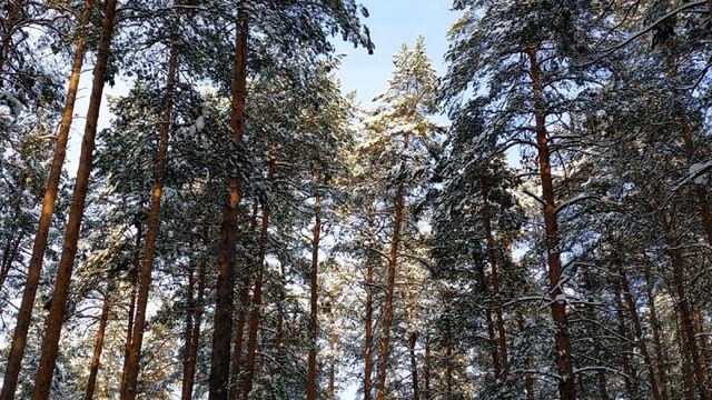 П. Коэльо. О верности слову. Притча 103. Книга Воина Света