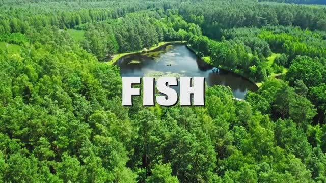 Fishing a GIANT Swimbait for Pond MONSTERS!