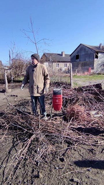 Обрезка сада закончена, начинаем переработку...