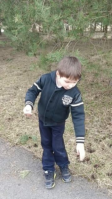 Николай Рубцов «Ласточка».