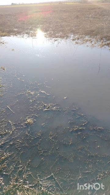 InShot_20260422_182845741