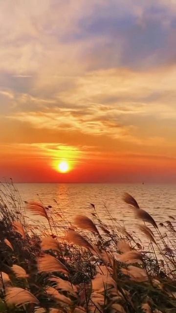 #katyboro #видеооткрытка      #рекомендации #врек #топ #врекомендации