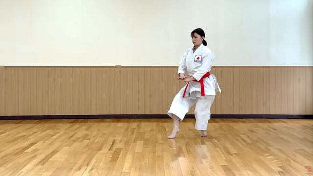 Папурен PAPUREN　パープーレン　八歩連 Версия Сито-рю Ситокай