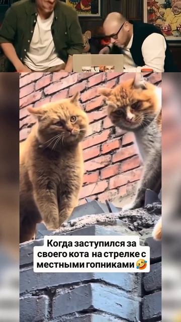 ЭТО ЛУЧШИЙ ПРИКОЛ 🤣 👍🏻