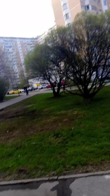 я на прогулке