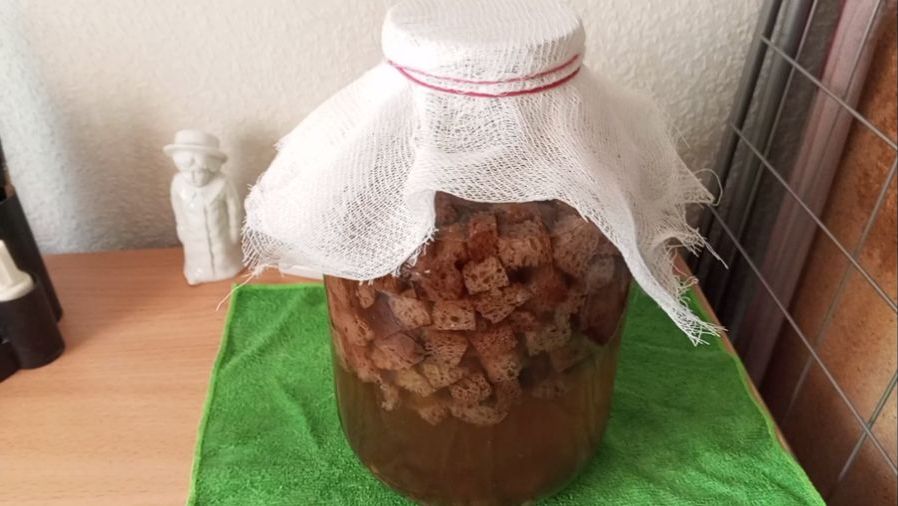 Квас из хлеба