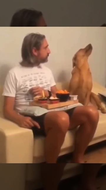 Воще ни разу не интересно☺))