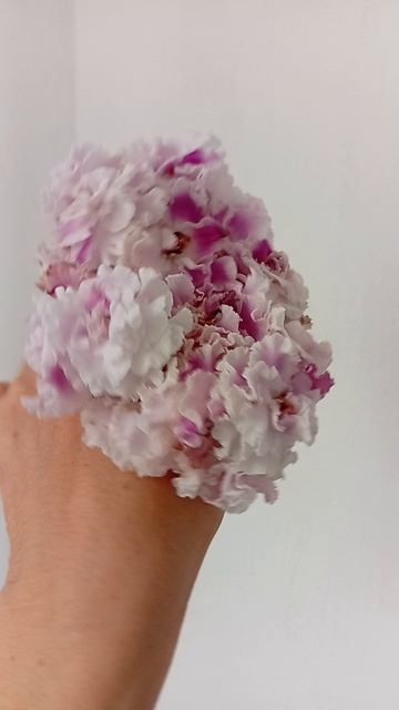 OVal-Милана, букет