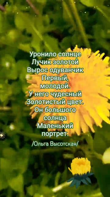 Доброе весеннее утро!