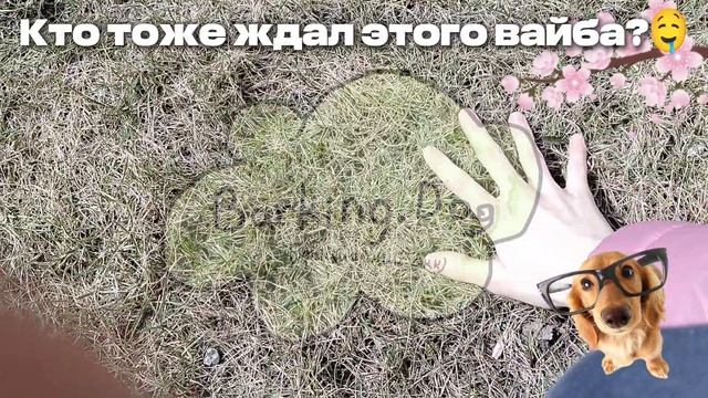 Есть такие?❤🤔