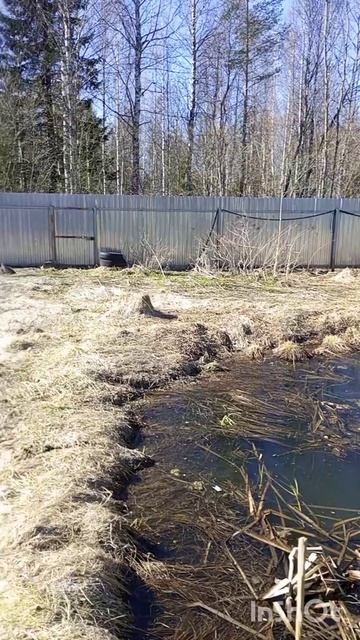 д. Малые Озерки Сокольский район