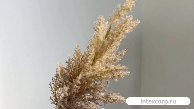 Декоративная ветка КОРТАДЕРИЯ, пластик, бежевая, 88 см, 220357