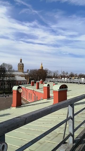 Вид на Петровский собор с Невской панорамы