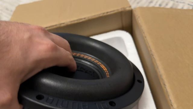 DL Audio  Phoenix Black Bass 8🔉