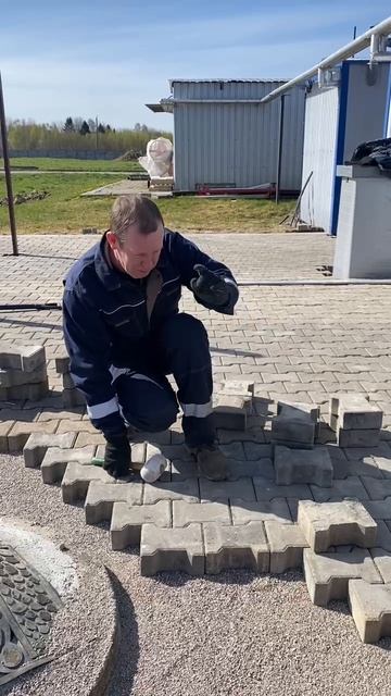 Мечтать не вредно