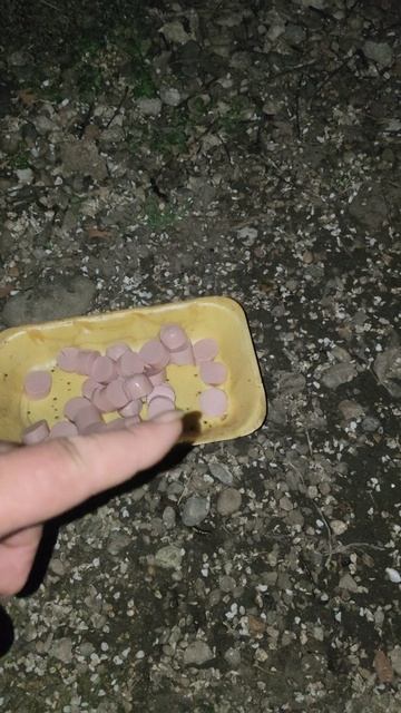 Ночная трапеза.