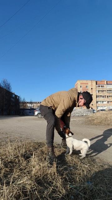 Охота за летающей тарелкой 🛸 #команда#Щорс #фрисбидог #разыгрываниесобаки #спортивнаясобака #драйв