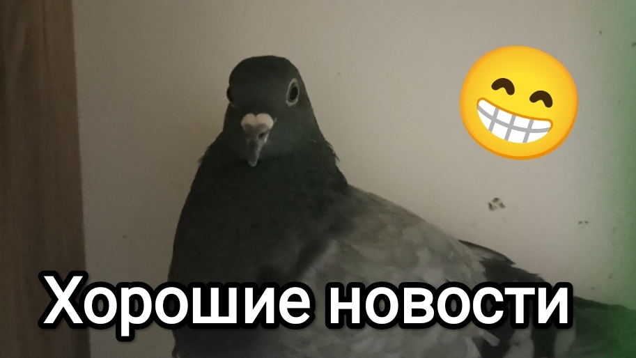 22-04-2026. Хорошие новости.