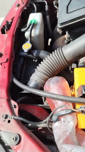 Давит и пузырится антифриз  Suzuki SX4