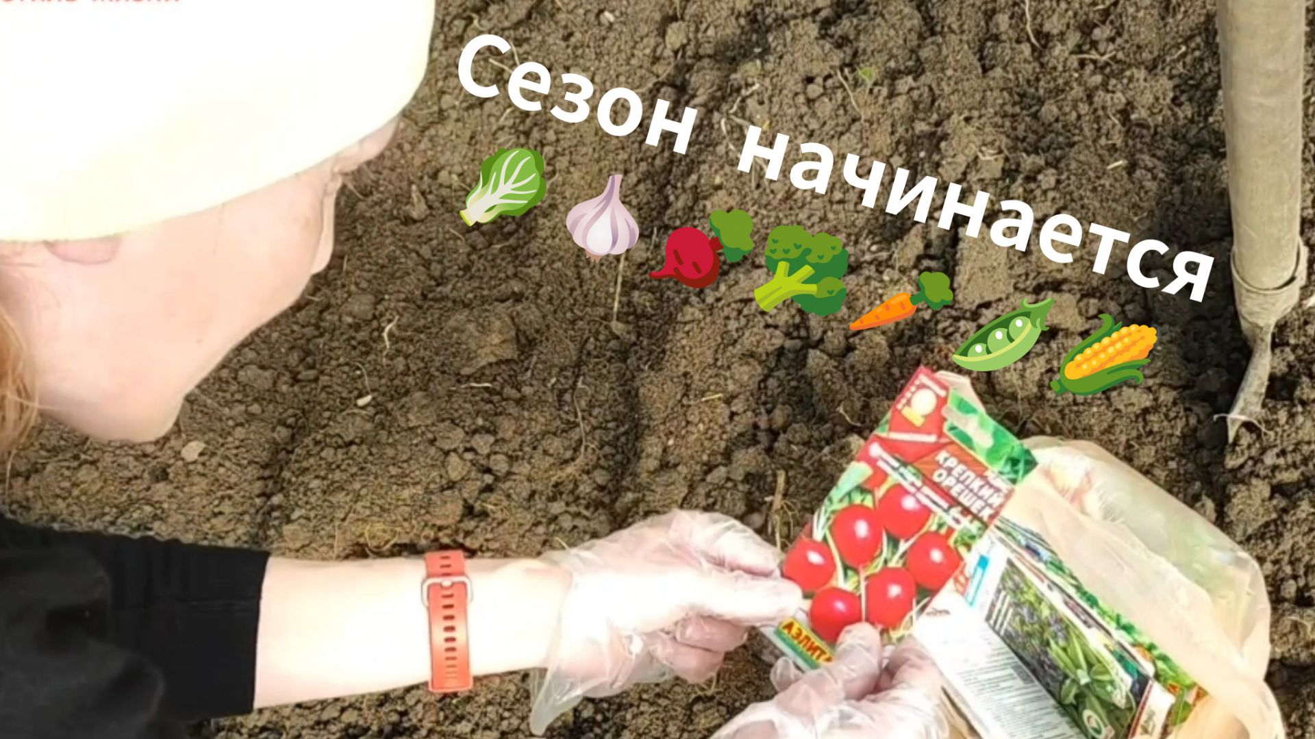На даче 🏠 Сею цветы 🌸 Клубничные грядки 🍓