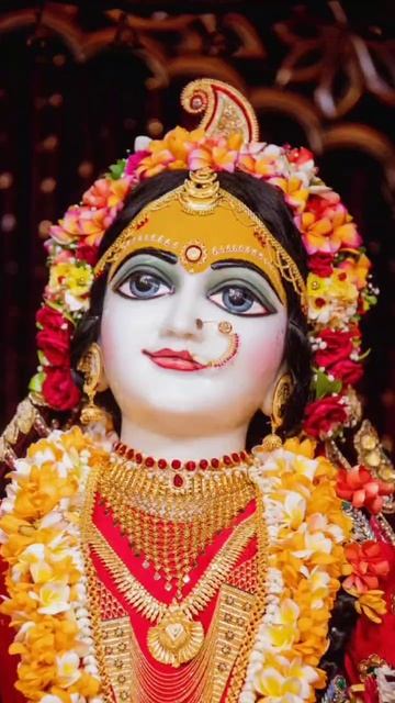 Даршан от 22.04