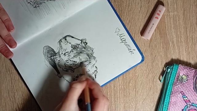 Знакомьтесь - это Марти́н !