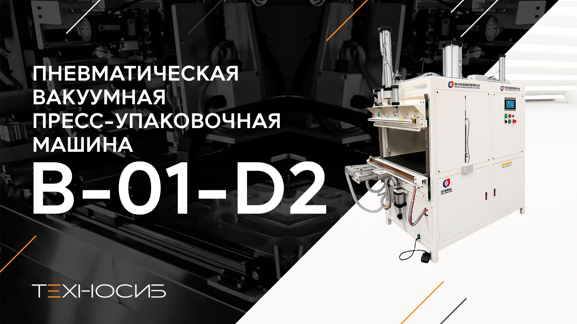 Пневматическая вакуумная пресс-упаковочная машина B-01-D2