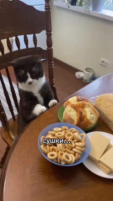 если чешатся зупки