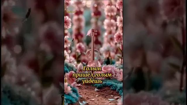 ГОЛЫМ ПРИШЁЛ, ГОЛЫМ УЙДЁШЬ.