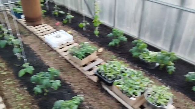 21.04.2026 Погода невесенняя. Вода замерзла. -2°