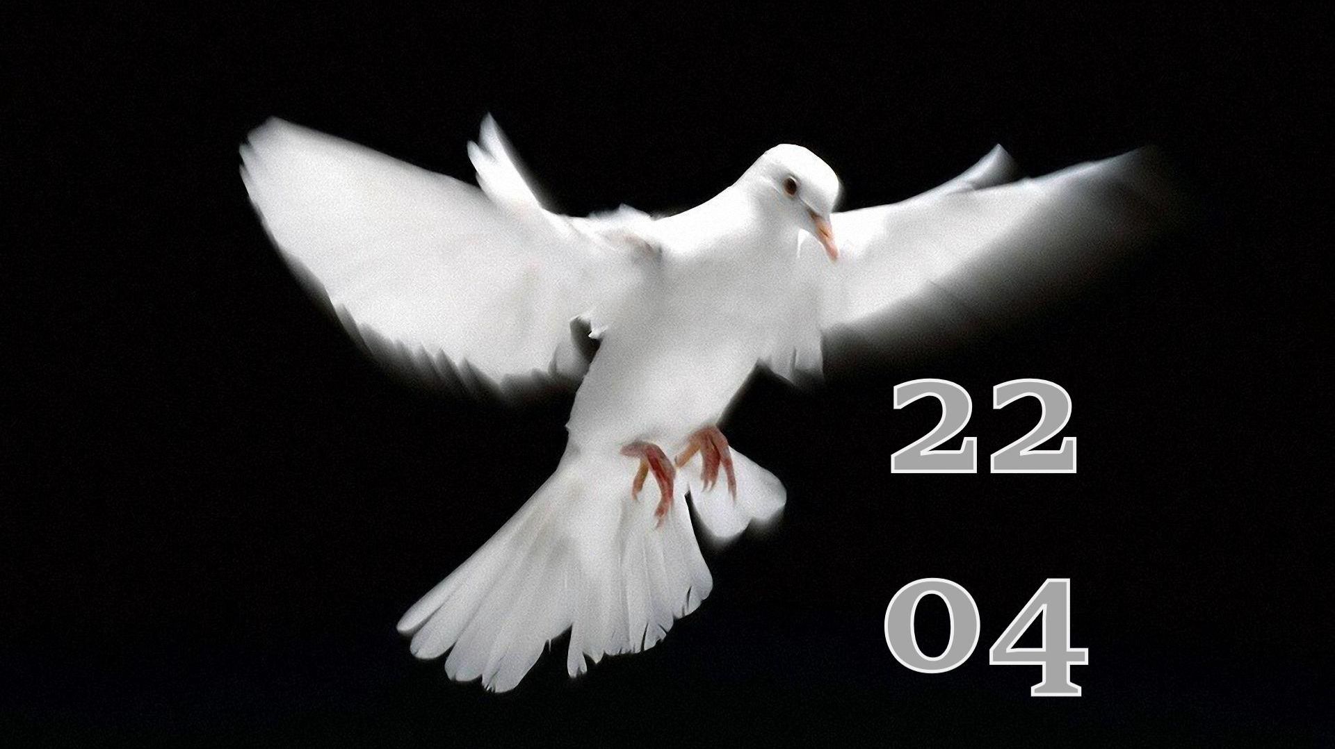 22.04.2026 - Прямая трансляция ст.Елизаветинская