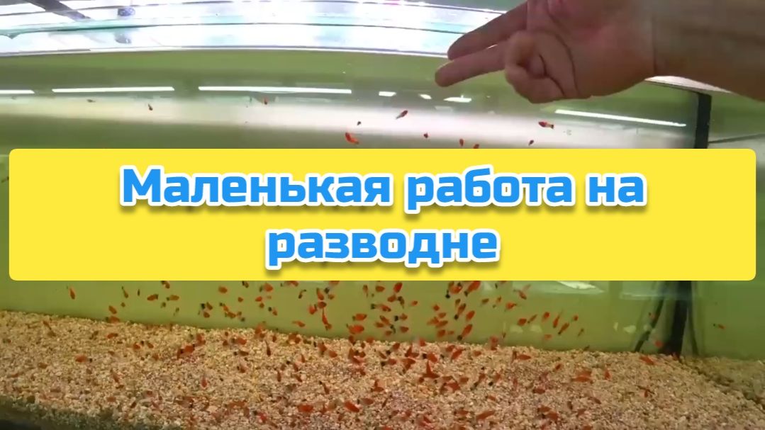 Маленькая работа на разводне