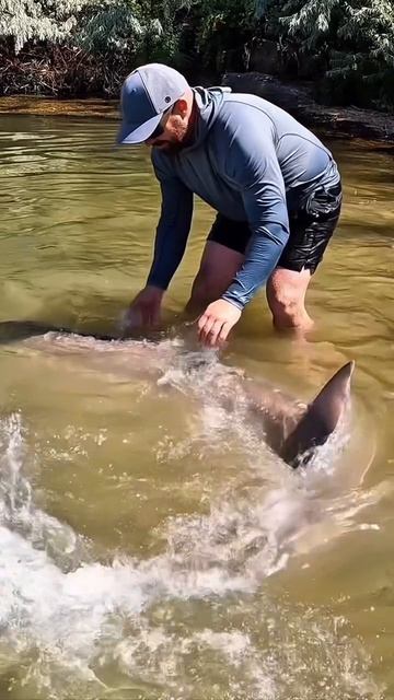 Сумасшедший улов