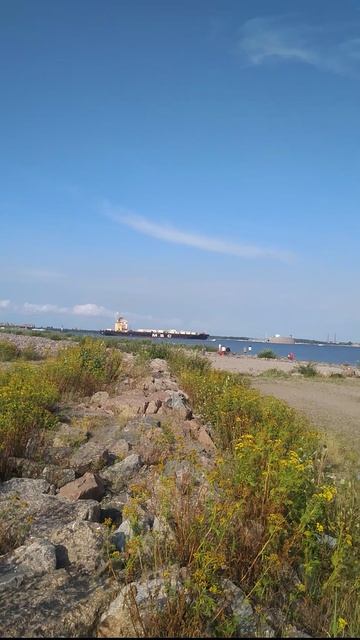 Танкер, Кронштадт