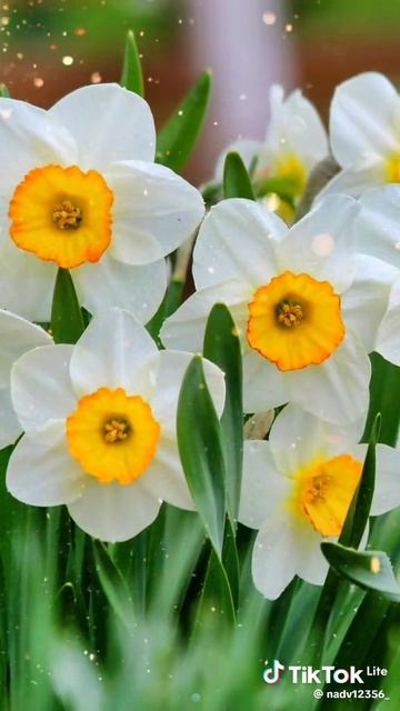 c8477278d78ee79089daa90b000ff66d_1776706547067.mp4