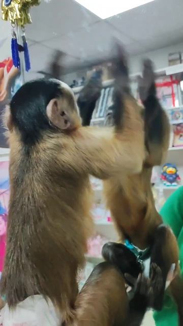 подписывайтесь на наш тг канал 🩷там мы чаще