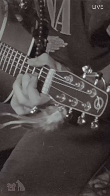 Блюз-рок. Куба. Jointrip