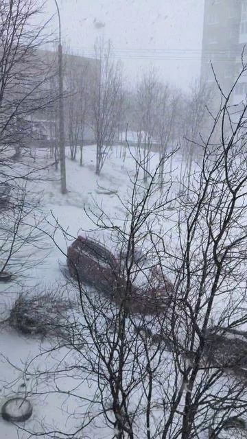 Мурманск 22.04.26. пять часов назад было лето , метель и снег.