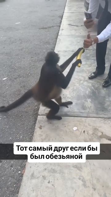 У всех есть такой друг