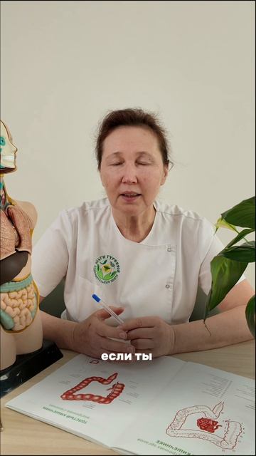 Норма стула: проверь себя #запор #жкт #кишечник #здоровье #вздутие