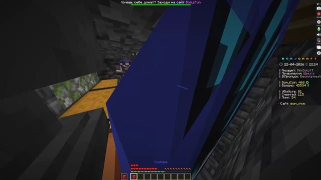 прокачка zuzuhamster