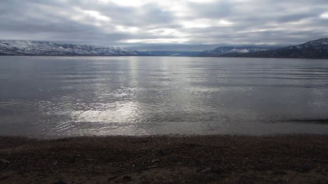 Где то бродит весна