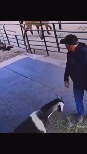 Потом спасибо скажите 😎