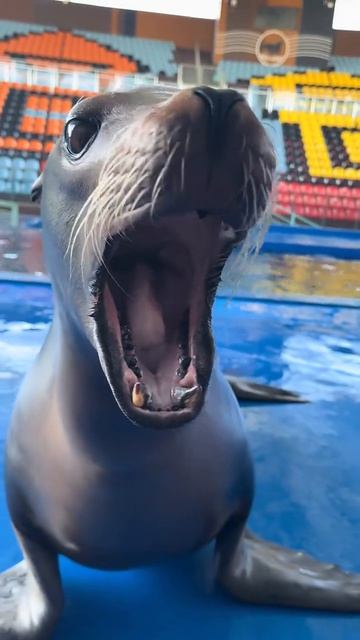 Кино и Сериалы