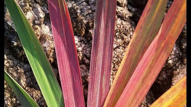 П. Коэльо. О второй попытке. Притча 80. Книга Воина Света