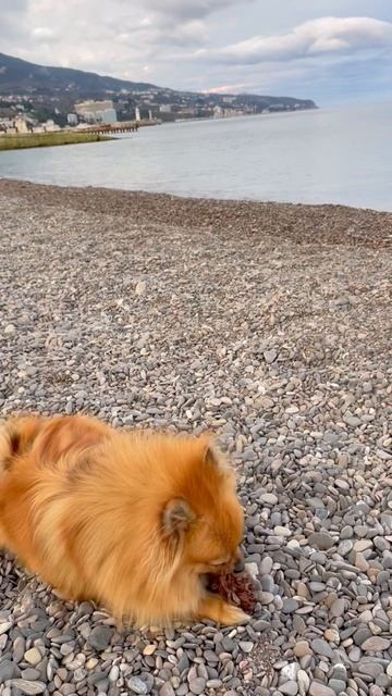 Ялта 💖💖💖